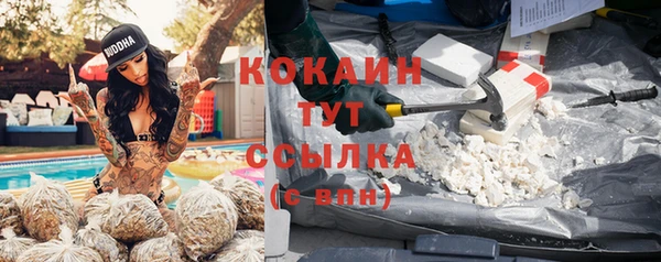 прущая мука Абаза
